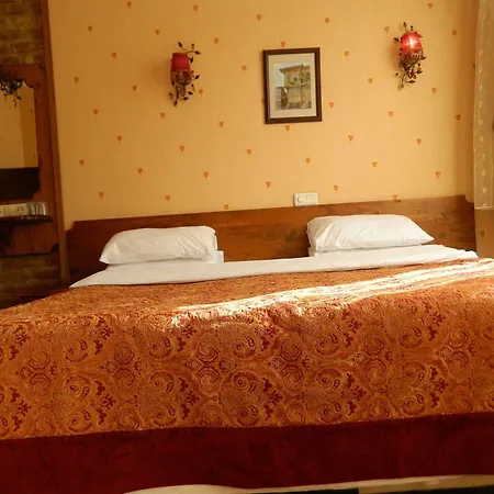 Hotel Apricot