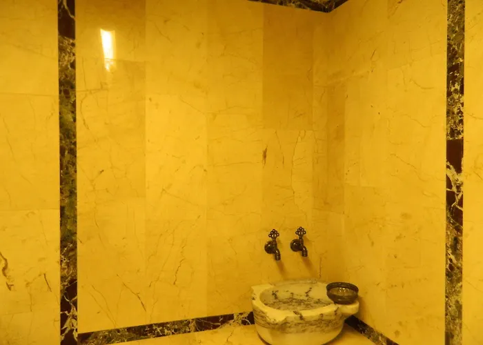 Apricot 伊斯坦布尔